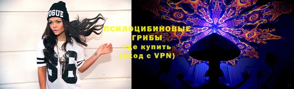 а пвп мука Белокуриха