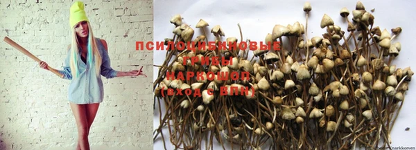 а пвп мука Белокуриха