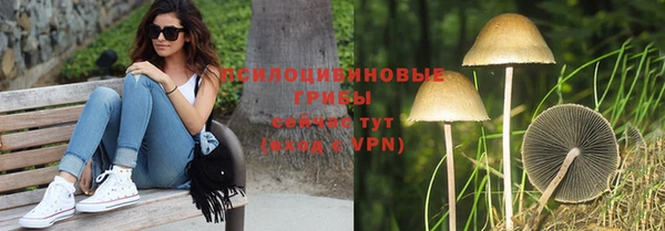 ешки Беломорск