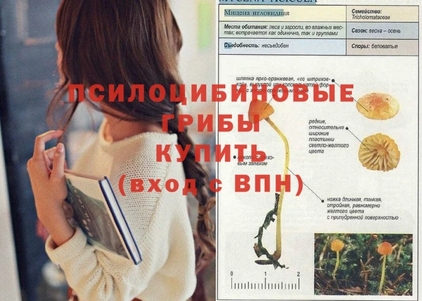 марихуана Протвино